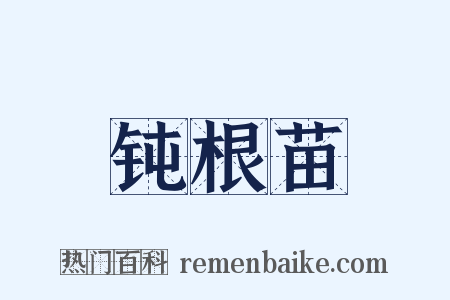 钝根苗是什么意思的图片